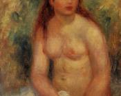 皮埃尔奥古斯特雷诺阿 - Seated Young Woman, Nude